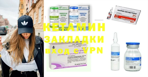 индика Кинешма