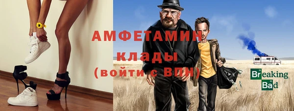 индика Кинешма