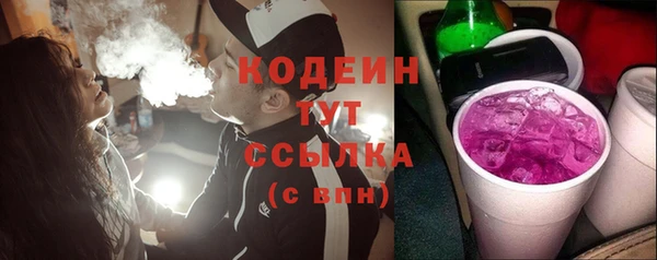 индика Кинешма