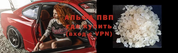 индика Кинешма