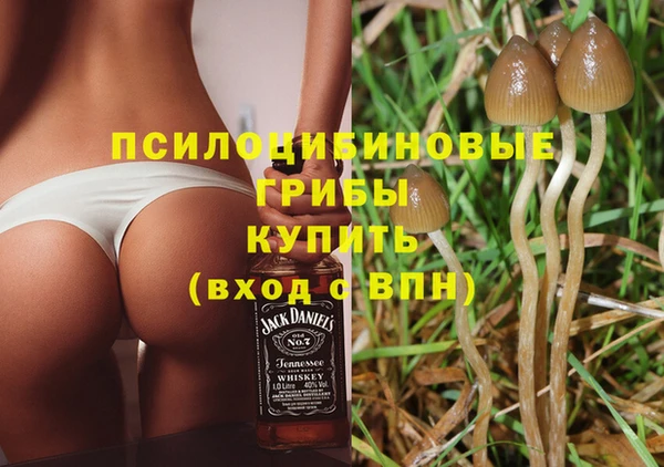 индика Кинешма