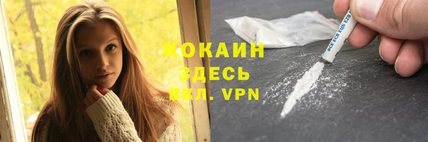 индика Кинешма