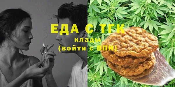 индика Кинешма