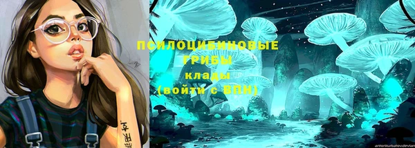 гидропоника Киреевск