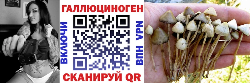 Псилоцибиновые грибы мицелий  Астрахань 