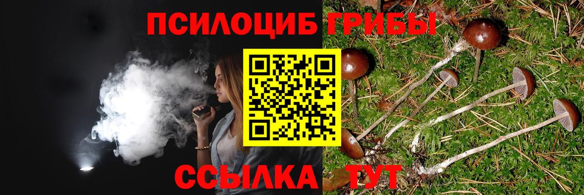 Псилоцибиновые грибы GOLDEN TEACHER  закладки  Астрахань  Вход с VPN 