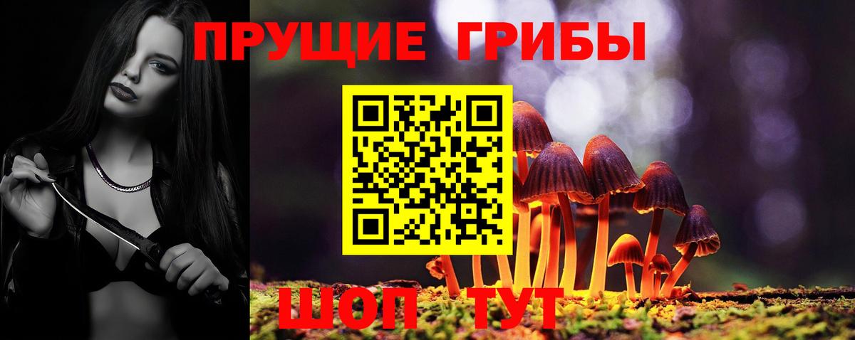 Галлюциногенные грибы мицелий Астрахань